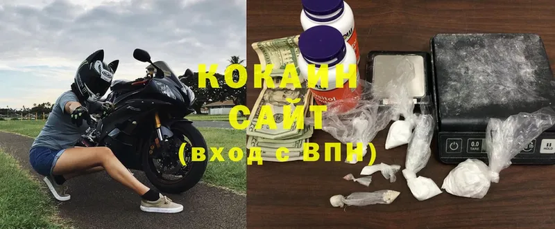 COCAIN Эквадор  Новороссийск 