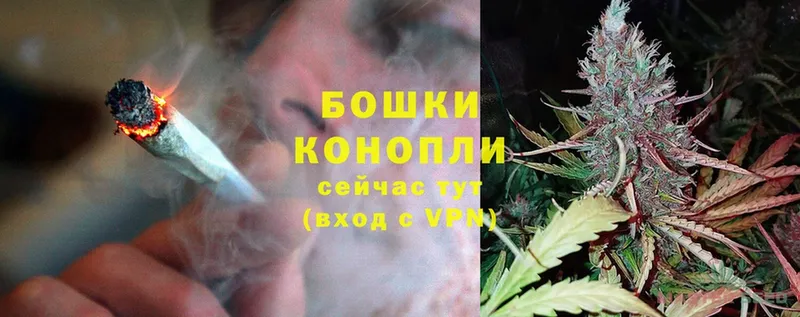 маркетплейс как зайти  Новороссийск  Марихуана THC 21% 